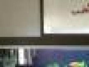 圖 森鑫淼水族服務公司,魚缸水族箱清洗 天津寵物服務