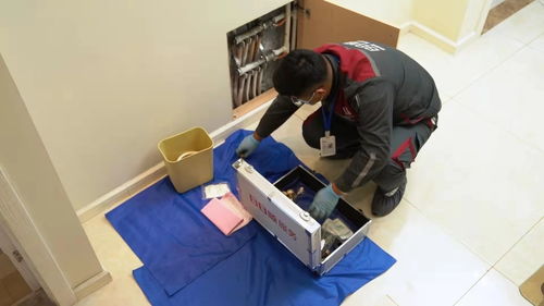 日日順以定制化場景方案賦能用戶體驗,讓健康品質(zhì)生活成為冬日主旋律